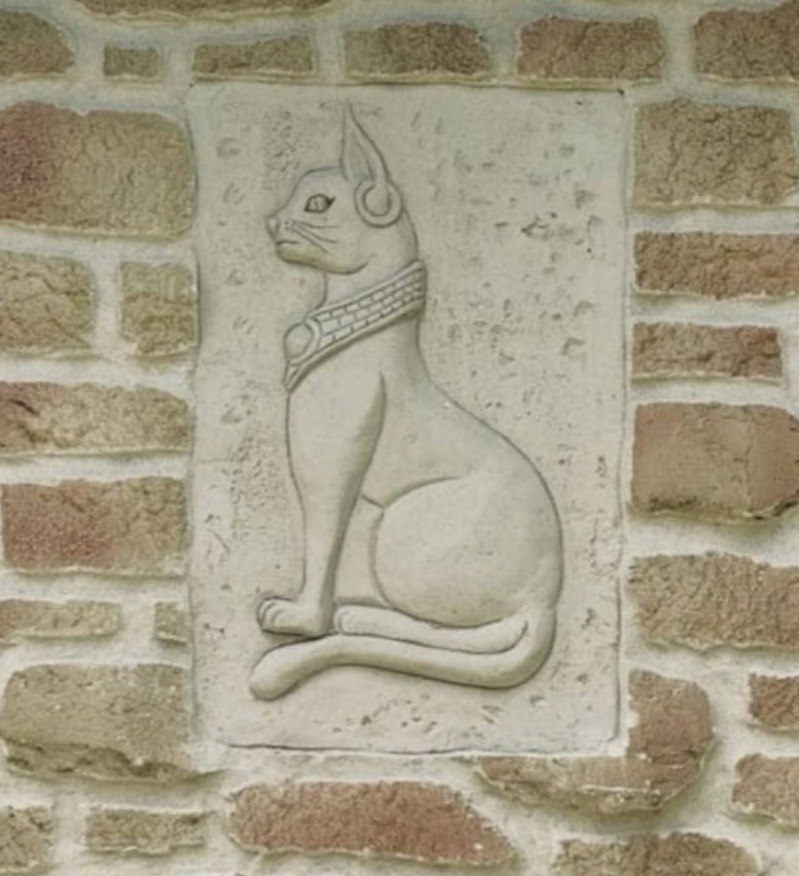Le Lynx