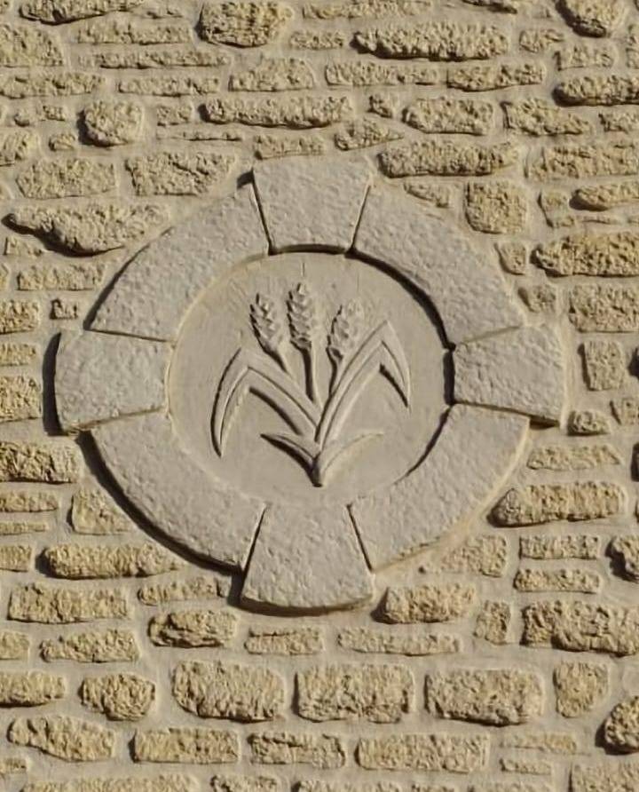L'épi de Blé