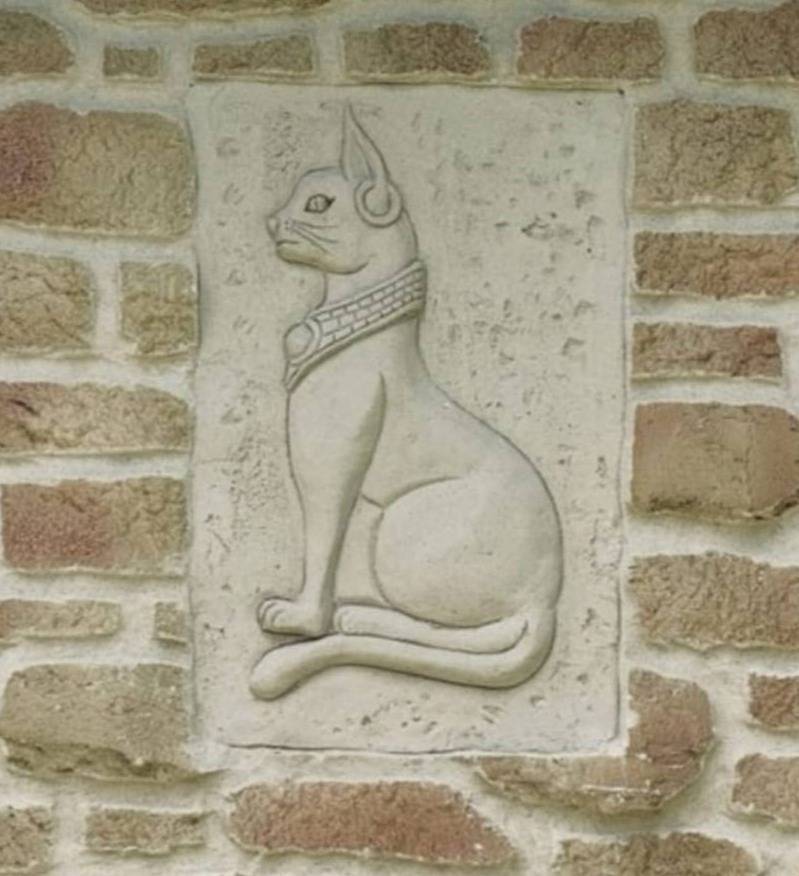 Le Lynx